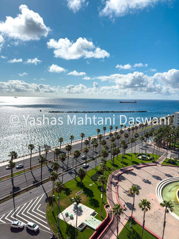 Enchanting Oasis: Aerial View of Las Palmas' Coastal Splendor from Apartment Balcony