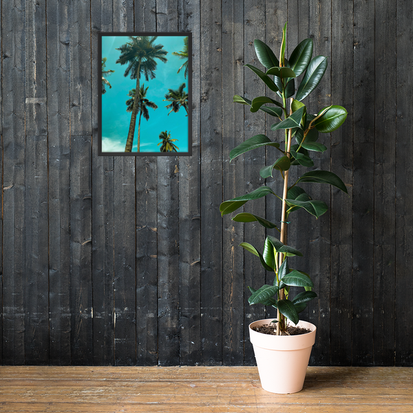 Abidjan Sky Palm Tree: Matte Framed Poster