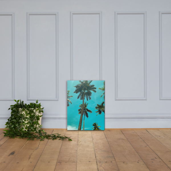 Abidjan Sky Palm Tree: Canvas